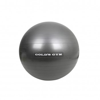 Gold's Gym GG-AB65-G - 65cm Anti-Burst Exercise Ball 